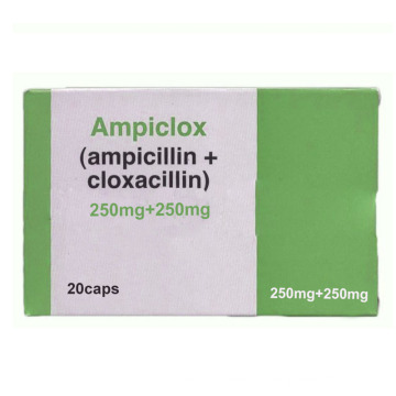 Ampiclox Capsule pour infection intestinale